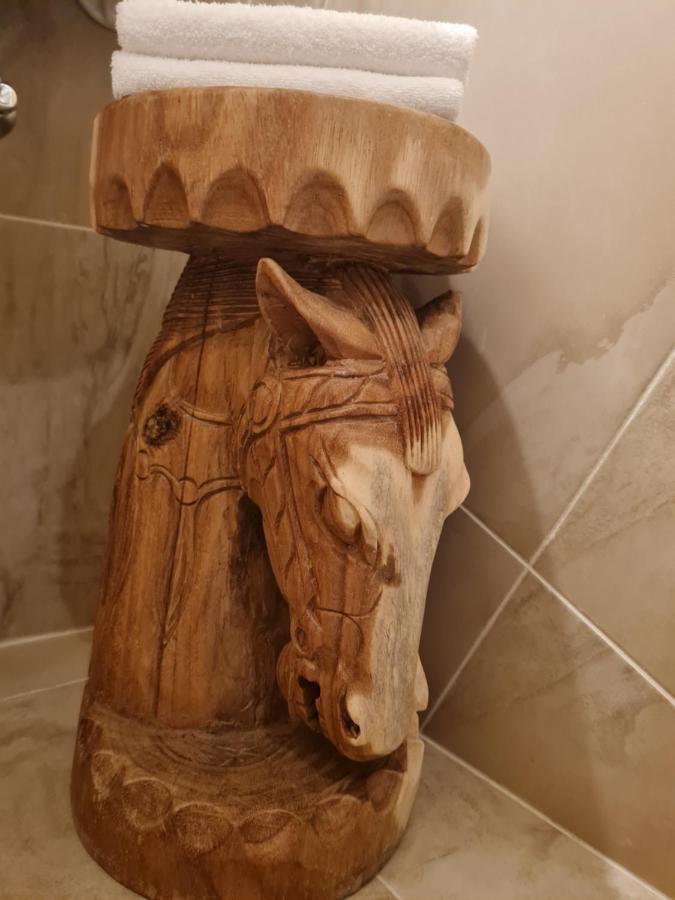 فندق Burg Plankenstein Texing المظهر الخارجي الصورة