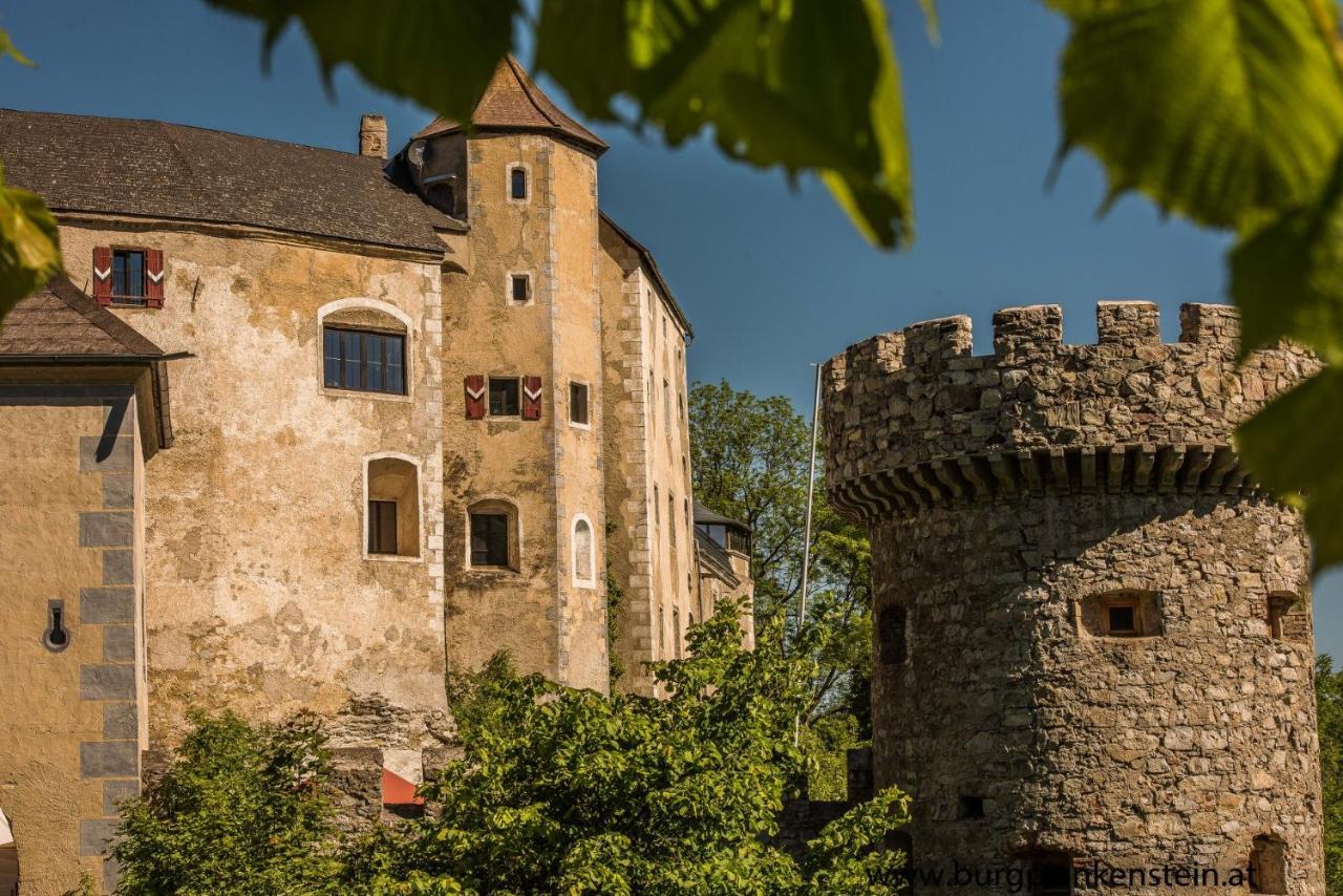 فندق Burg Plankenstein Texing المظهر الخارجي الصورة