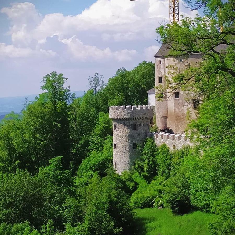 فندق Burg Plankenstein Texing المظهر الخارجي الصورة