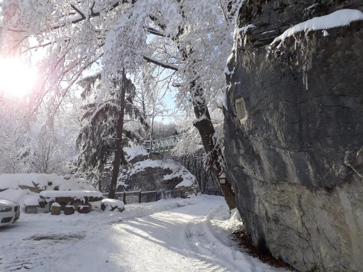 فندق Burg Plankenstein Texing المظهر الخارجي الصورة