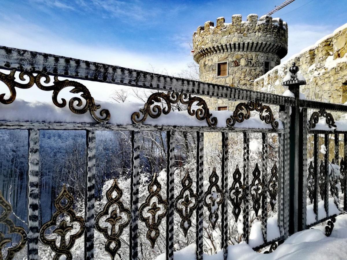 فندق Burg Plankenstein Texing المظهر الخارجي الصورة