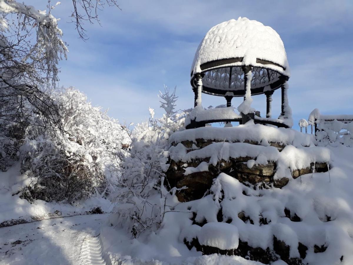 فندق Burg Plankenstein Texing المظهر الخارجي الصورة